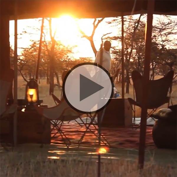 Nomad Serengeti Safari Camp video