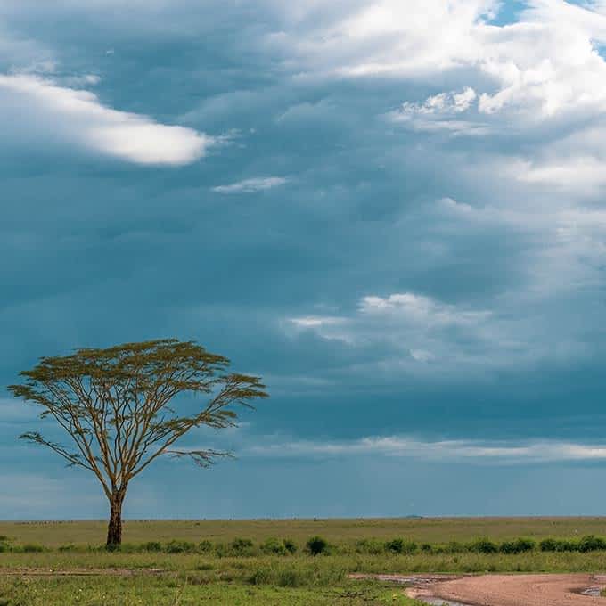 Weather and climate information Serengeti