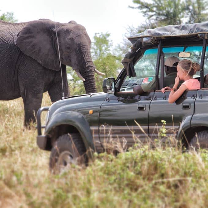 Wildlife safari in Serengeti National Park in Tanzania