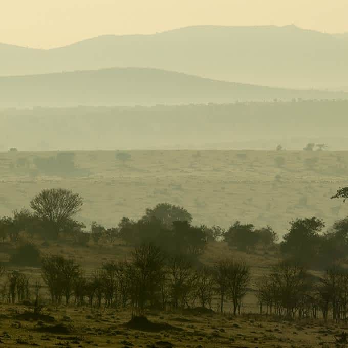 Woodlands landscape in Serengeti